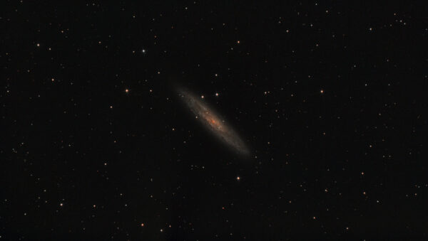 2023-07-10 – NGC 253 – sculptor galaxy